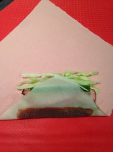smitsfoodblog - Spring Roll Wrap 2