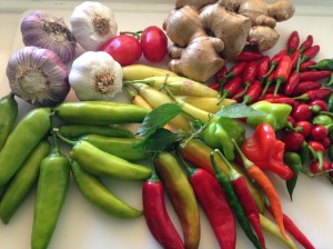 smitsfoodblog-fresh masala ingredients