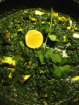 Spinach and Paneer