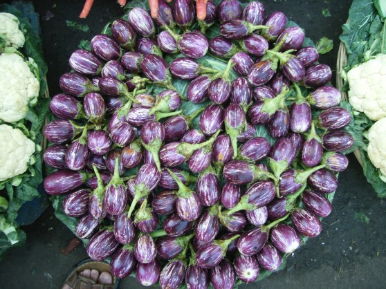 Egg plants - Streets of India