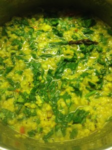 Dhal (Lentil) and Spinach Curry