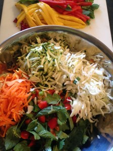 smitsfoodblog - mango salad base